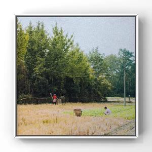 欧美残忍捆绑tickle网站
